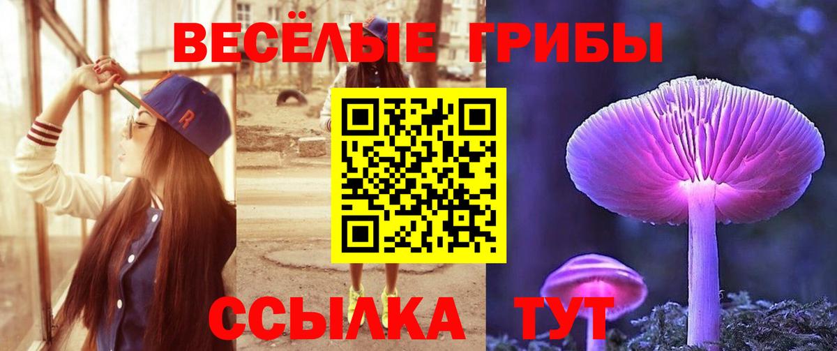 Топки  купить  сайты  Вход с VPN  Псилоцибиновые грибы Magic Shrooms 